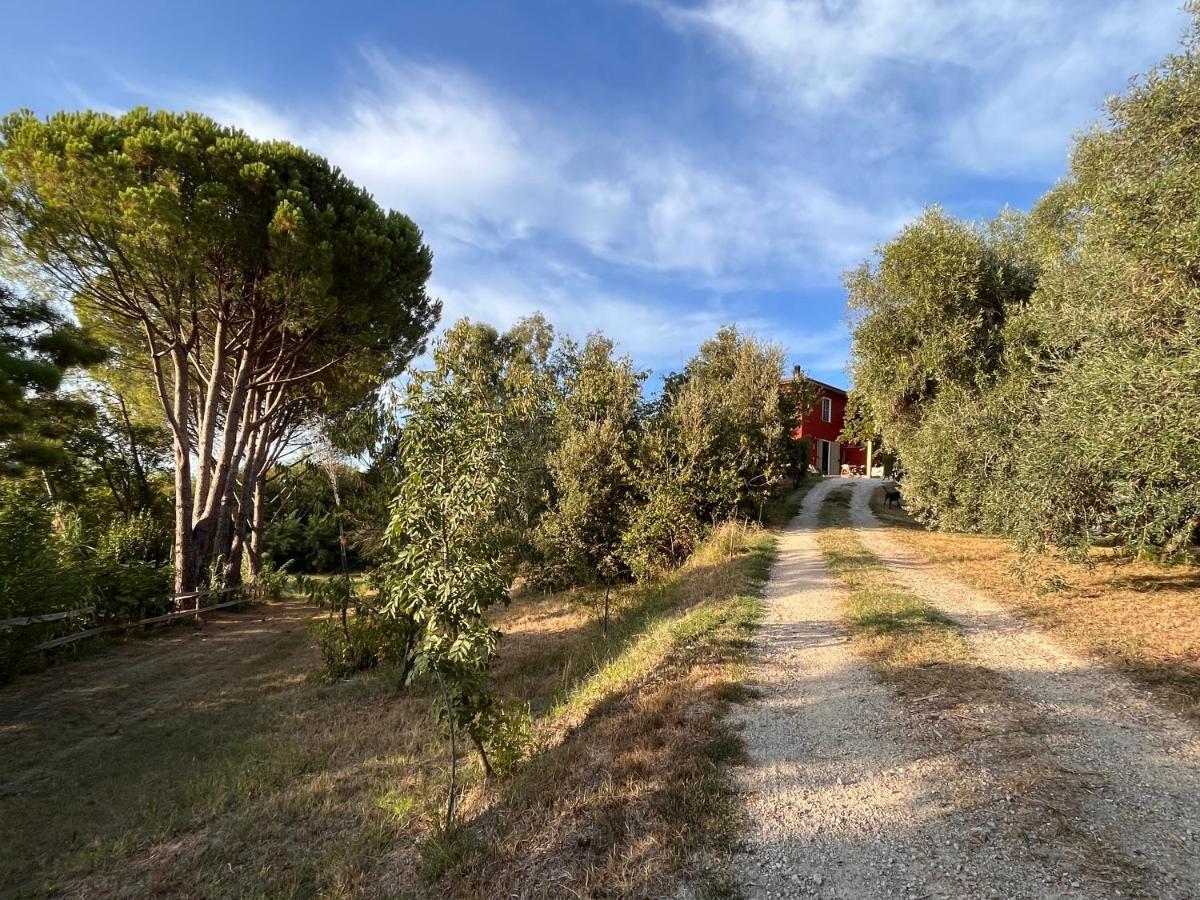 Podere Orzale Agri Hospitality Usigliano Экстерьер фото