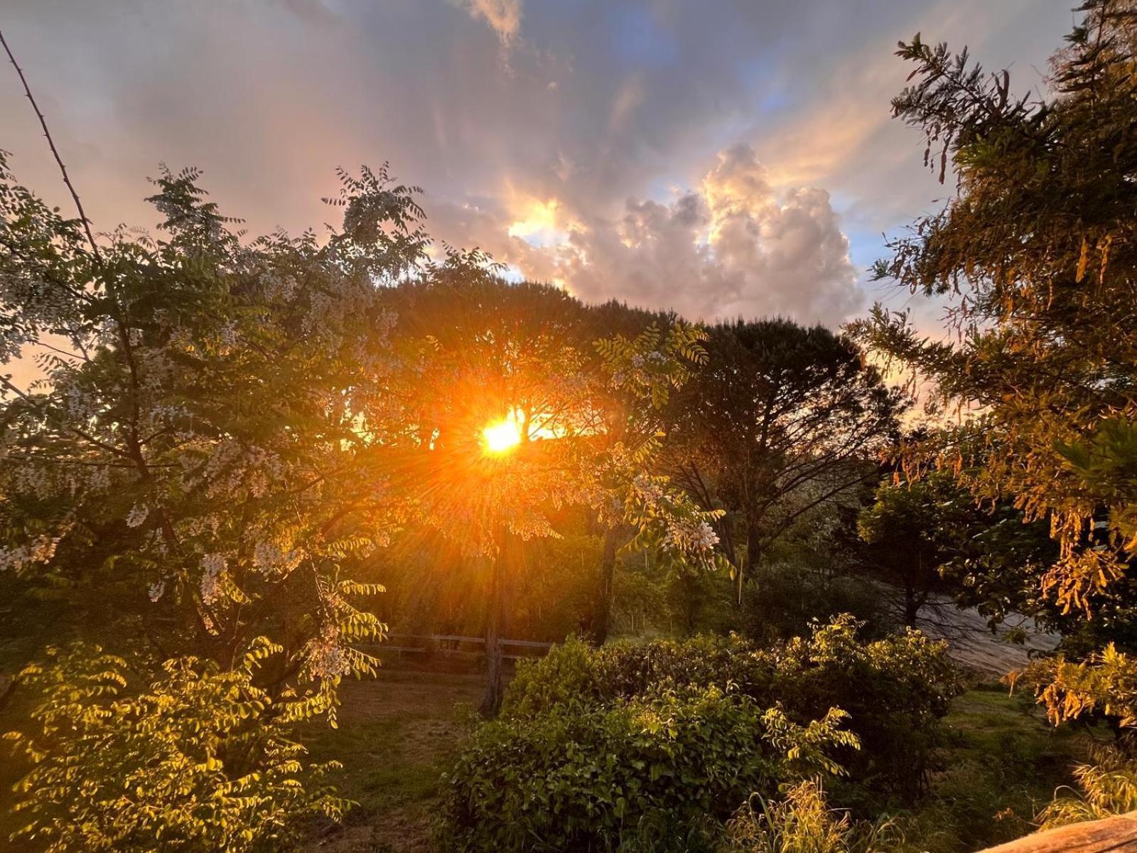 Podere Orzale Agri Hospitality Usigliano Экстерьер фото